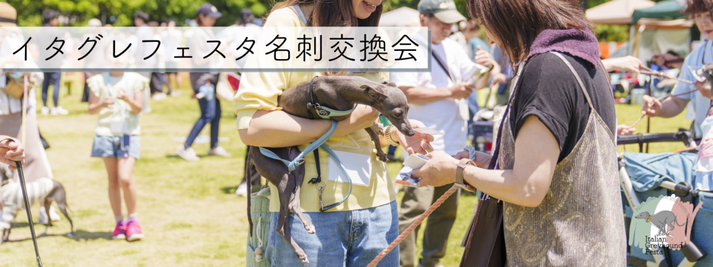 イタグレフェスタ名刺交換会