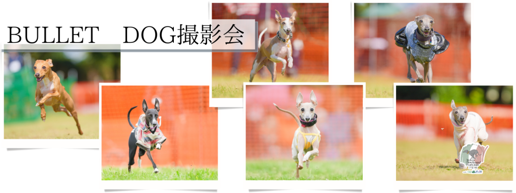 BULLET DOG撮影会