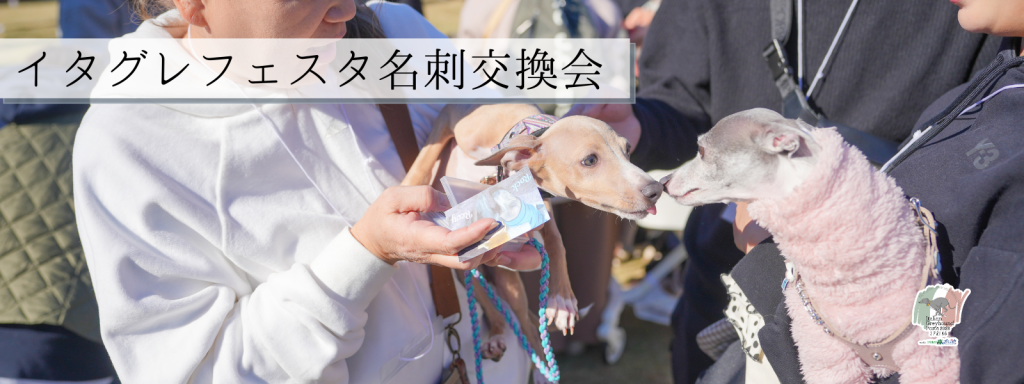 イタグレフェスタ名刺交換会