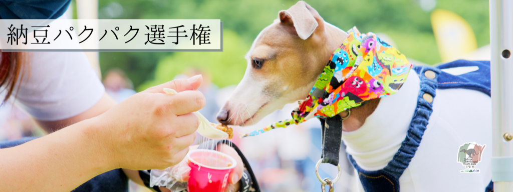 納豆パクパク選手権