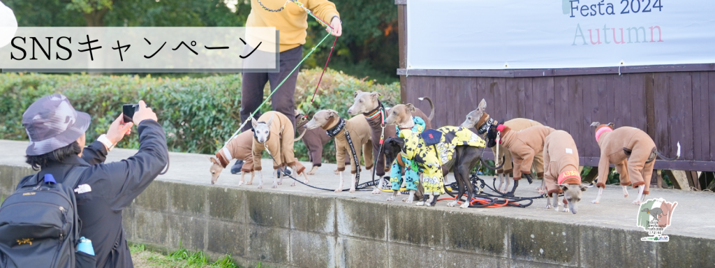 SNSキャンペーン