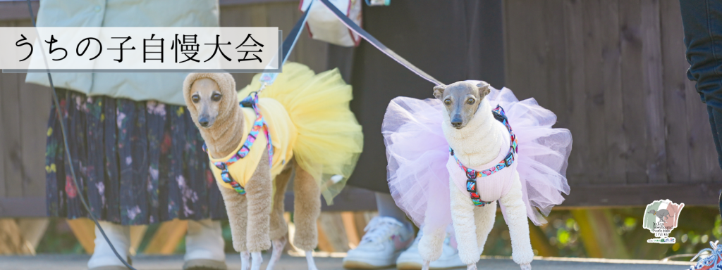 うちの子自慢大会