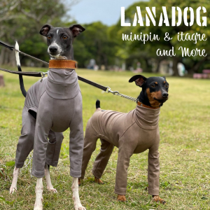 LANADOG