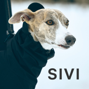 SIVI