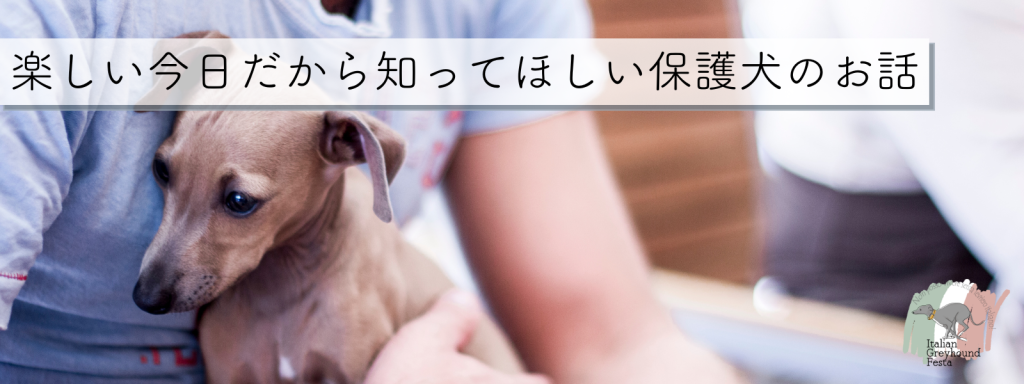 楽しい今日だから知ってほしい保護犬のお話