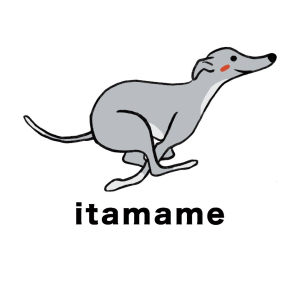 いたまめ