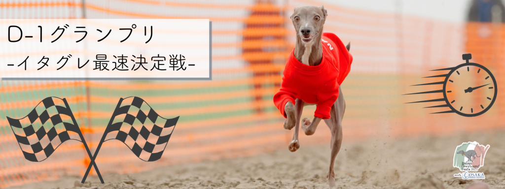 D-1グランプリ – イタグレ最速決定戦 –