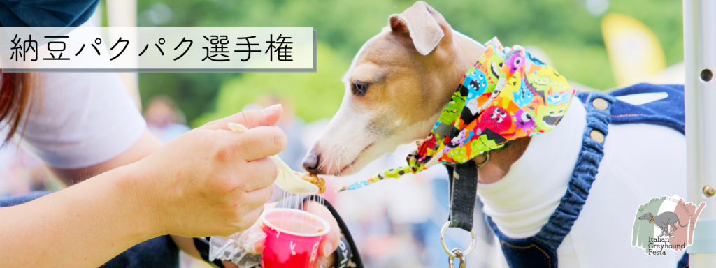 納豆パクパク選手権