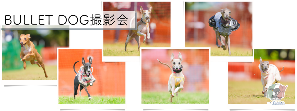 BULLET DOG撮影会@大阪北港マリーナ