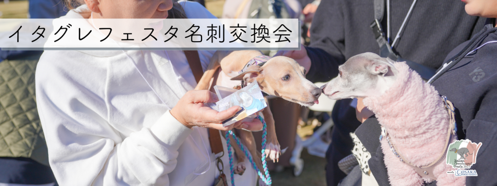 イタグレフェスタ名刺交換会@大阪北港マリーナ