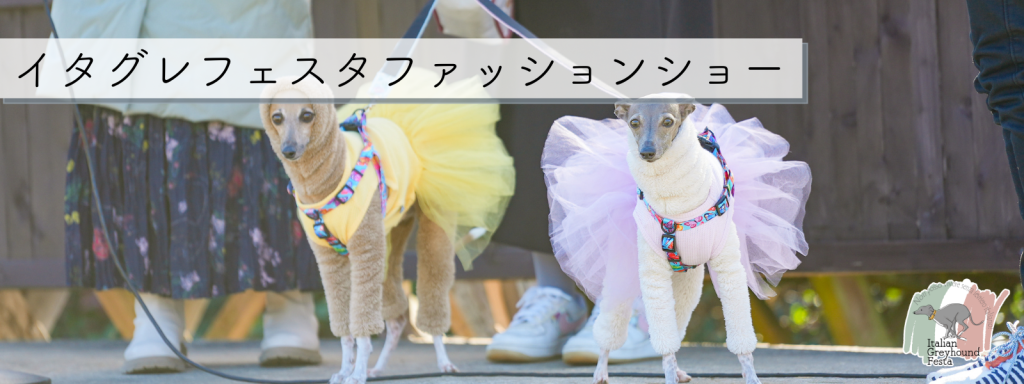 イタグレフェスタ ファッションショー