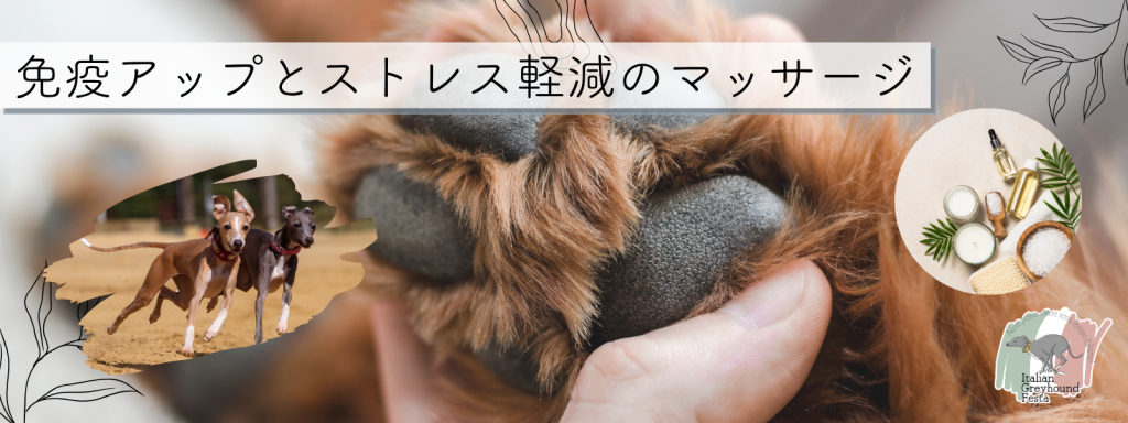 免疫アップとストレス軽減のマッサージ