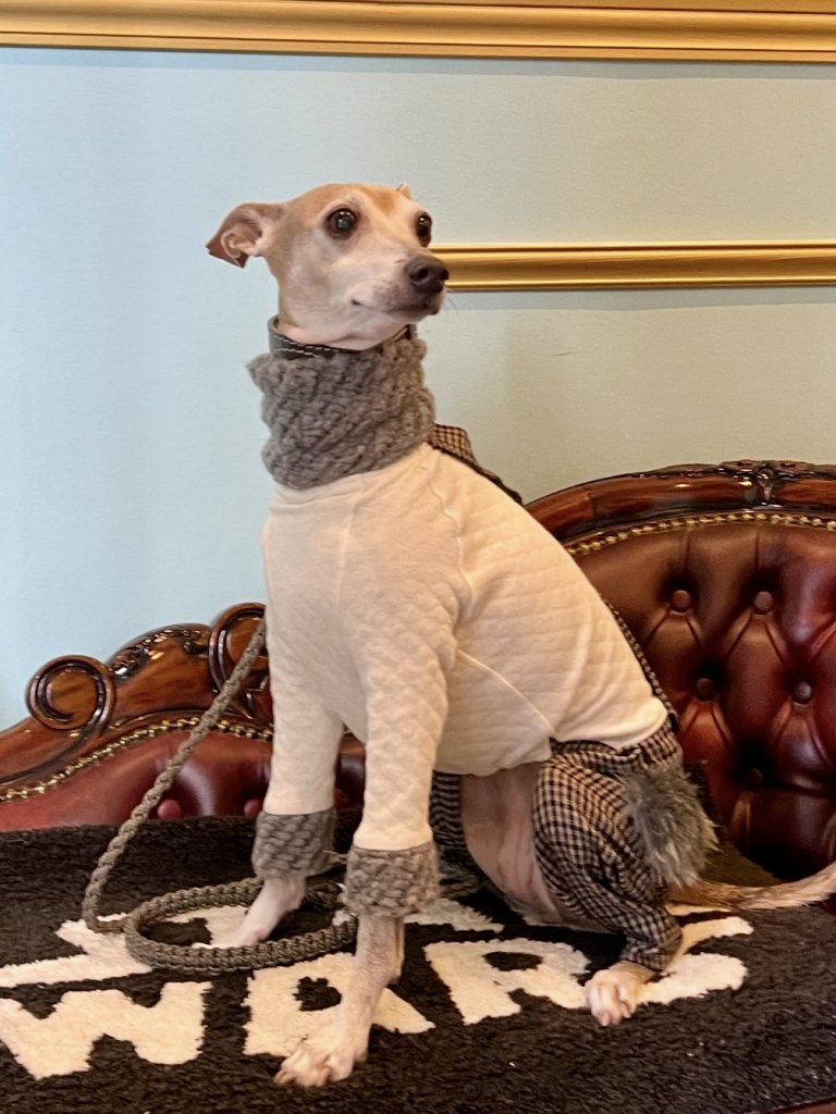 アンジーちゃん