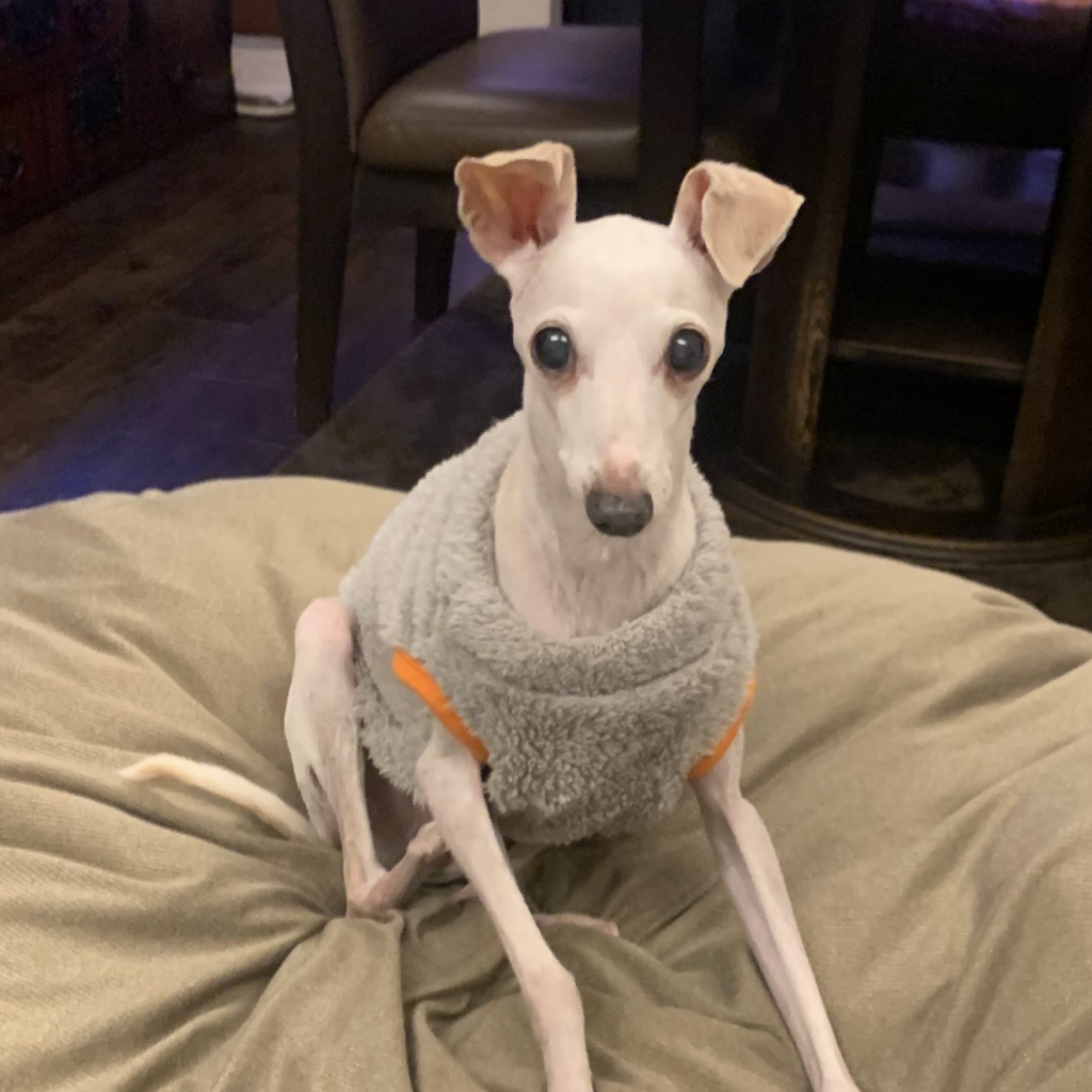 チェリーちゃん