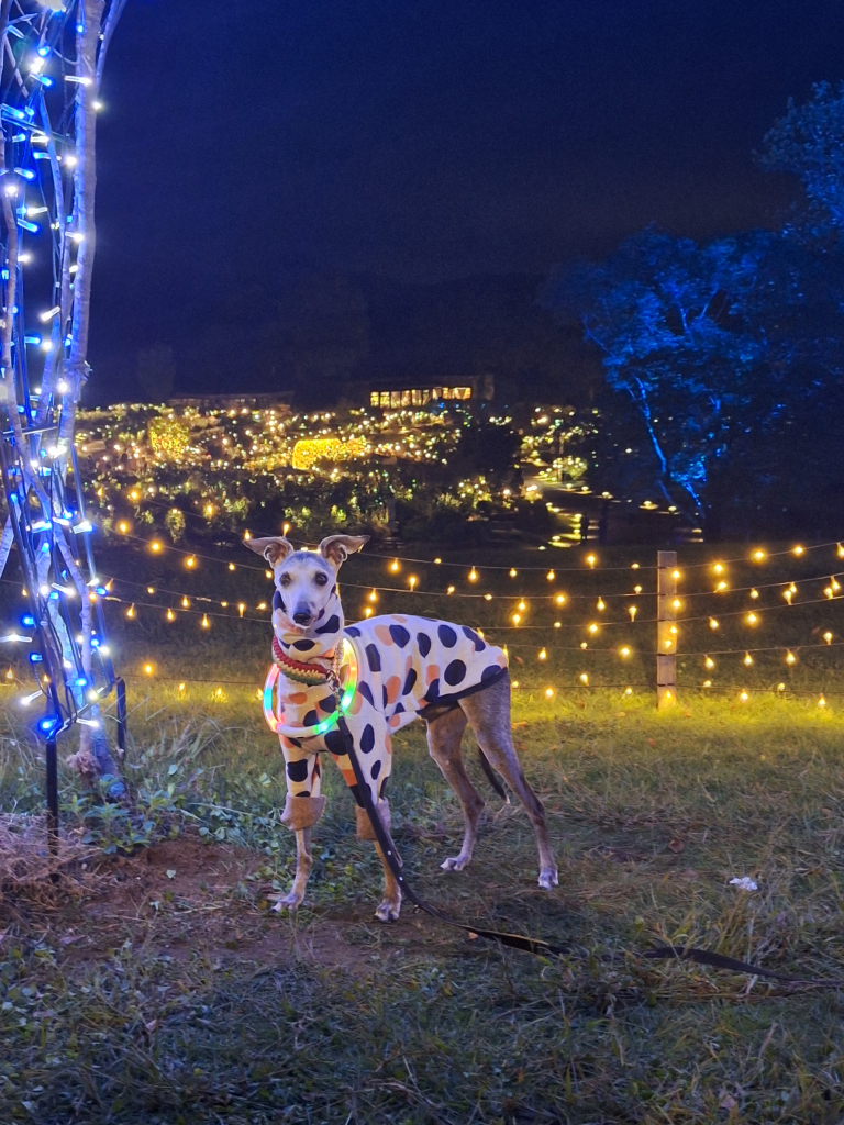 久遠(くおん)くん