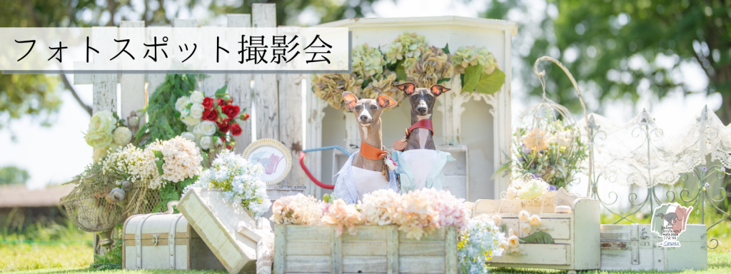 フォトスポット撮影会@大阪北港マリーナ