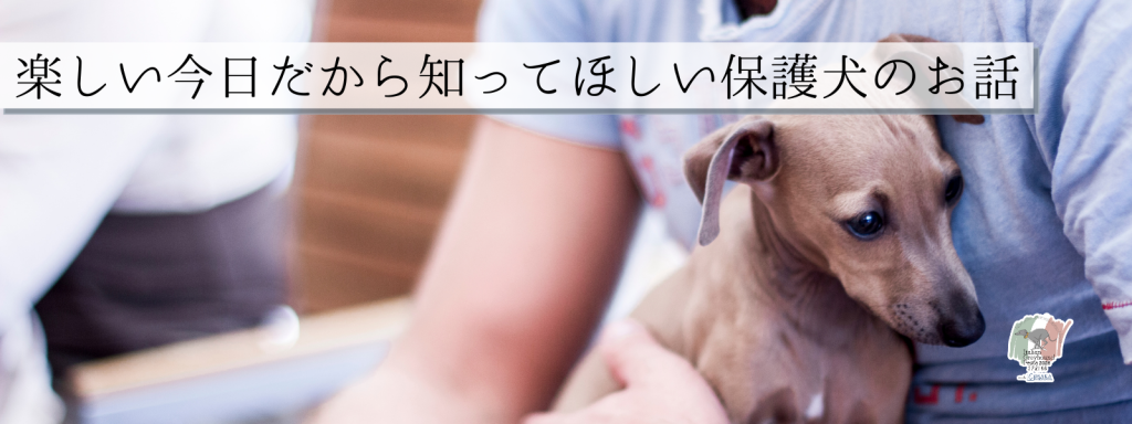 楽しい今日だから知ってほしい保護犬のお話@大阪北港マリーナ